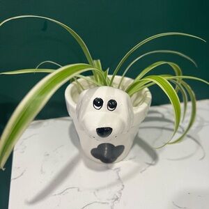 Small‎ Ceramic Puppy Dog Planter